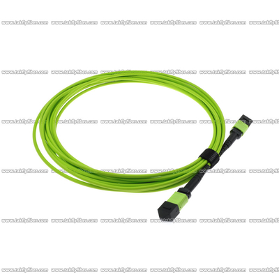 Wielomodowy kabel światłowodowy OM5 MPO 12 rdzeni 3,0 mm LSZH MPO Patch Cord