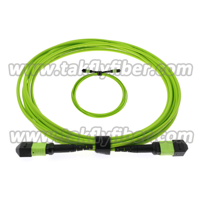 Wielomodowy kabel światłowodowy OM5 MPO 12 rdzeni 3,0 mm LSZH MPO Patch Cord