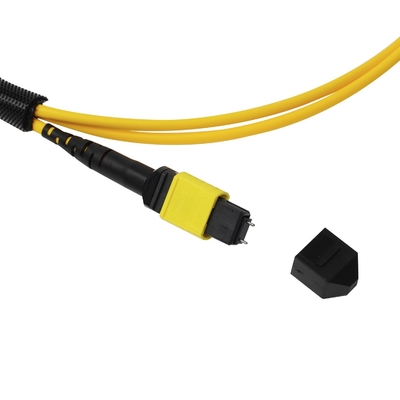 Plenum OFNP MPO Patch Cord 1m 3ft MTP-12 APC Kobieta do MTP-12 APC Kobieta Single Mode OS2