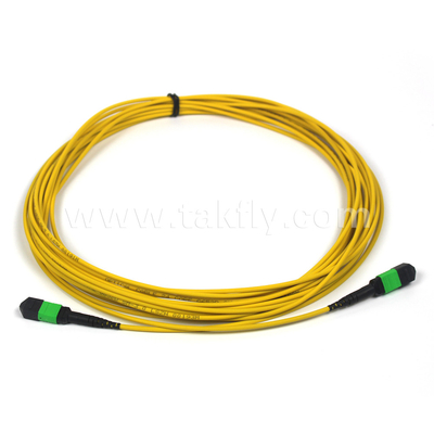 MTP-12 APC Kobieta do MTP-12 APC Kobieta Jednokomórkowy OS2 Plenum OFNP Typ A MPO patch cord