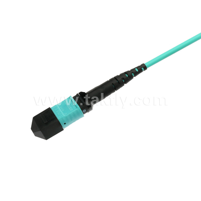 Elite Multimode OM3 50/125 Plenum OFNP Typ B MPO Patch Cord 30m 100ft MTP-12 PC Kobieta Do MTP-12 PC Kobieta