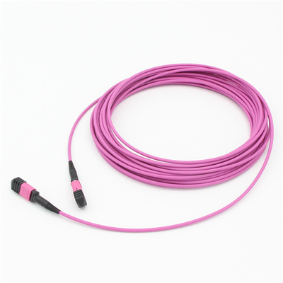 Elite Multimode OM4 50/125, Plenum OFNP Typ B MPO patch cord 1m 3ft MTP-12 PC Kobieta do MTP-12 PC Kobieta