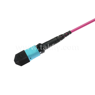 Elite Multimode OM4 50/125, Plenum OFNP Typ B MPO patch cord 3m 10ft MTP-12 PC Kobieta do MTP-12 PC Kobieta