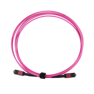 Elite Multimode OM4 50/125, Plenum OFNP Typ B MPO Patch Cord 5m 16ft MTP-12 PC Kobieta Do MTP-12 PC Kobieta