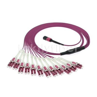 24F MTP 12x LC DX Uniboot OM4 Fiber Patch Cord dla sieci dużych prędkości