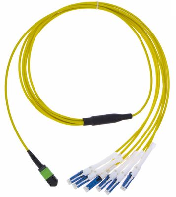 Patchcord światłowodowy MPO-CS typu Breakout PVC/LSZH SM/MM
