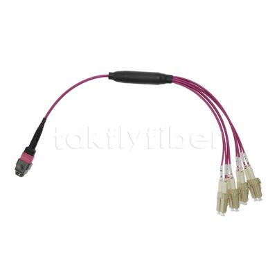 100G CPR B2ca OFNP OM4 USCONEC MTP Elite 8 Fiber MPO Fiber Optic Breakout Cable