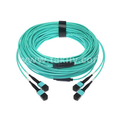 OM3 OM4 Wielomodowy 24 włókna 2x12F MPO MTP - 2x12F MPO MTP Męski Żeński Światłowodowy Patchcord / Światłowodowy Kabel Krosowy / Światłowodowy Kabel Rozgałęźny / Światłowodowy Kabel Trunkowy / Światłowodowy Kabel Fanout