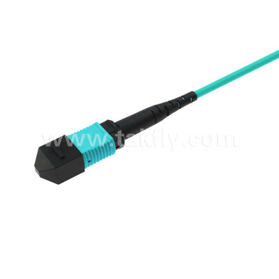 OM3 OM4 Wielomodowy 24 włókna 2x12F MPO MTP - 2x12F MPO MTP Męski Żeński Światłowodowy Patchcord / Światłowodowy Kabel Krosowy / Światłowodowy Kabel Rozgałęźny / Światłowodowy Kabel Trunkowy / Światłowodowy Kabel Fanout
