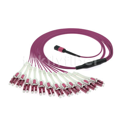 Kabel krosowy typu Breakout OM4 MPO do LC Uniboot 1 do 24 | Wielomodowy UPC o niskiej stracie