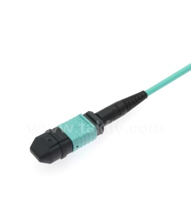 MPO/MTP-LC Breakout Patch Cord.