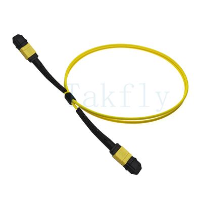 12-rdzeniowy MPO APC Fanout Patch Cord