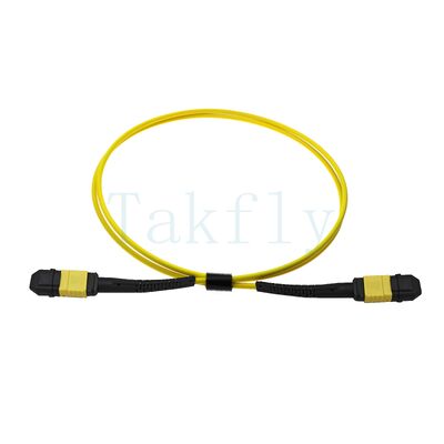 12-rdzeniowy MPO APC Fanout Patch Cord