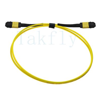 12-rdzeniowy MPO APC Fanout Patch Cord