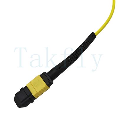 12-rdzeniowy MPO APC Fanout Patch Cord
