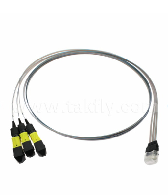 MTP 12CH×3 do 36-kanałowego montażu maszyny włókienniczej ?? 3×12CH MTP konektory do 36CH V-Groove FAU, niska strata wstawiania, dla 1,6T nadajników optycznych i optyki kopakowanej (CPO)