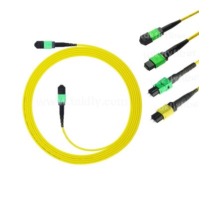 MPO MTP Patchcord SM Trunk Cable 12F Włókno optyczne do centrum danych AI Telecom FTTX Cabling