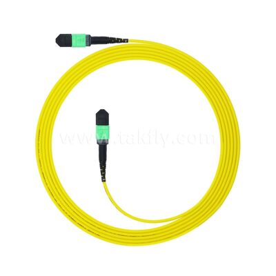 MPO MTP Patchcord SM Trunk Cable 12F Włókno optyczne do centrum danych AI Telecom FTTX Cabling