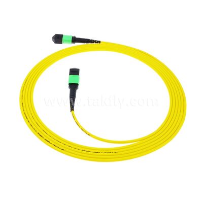MPO MTP Patchcord SM Trunk Cable 12F Włókno optyczne do centrum danych AI Telecom FTTX Cabling