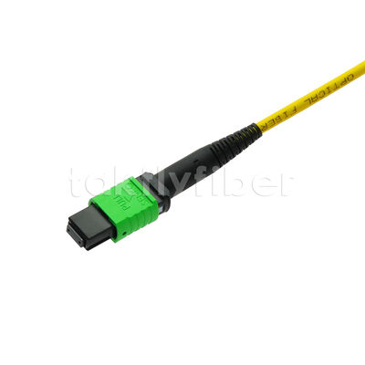 MPO MTP Patchcord SM Trunk Cable 12F Włókno optyczne do centrum danych AI Telecom FTTX Cabling