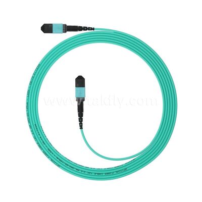 MPO MTP Patchcord Multimode OM3 Trunk Cable 24F Fiber Optic for Data Center AI Telecom Cabling