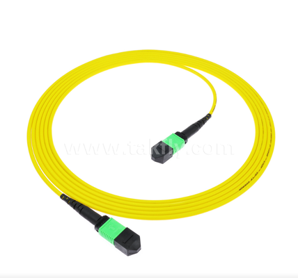 MPO/MTP Single-mode (SM) Patch Cord – 4C to 72C, High-Density Multi-fiber Trunk for 40G/100G/400G Networks