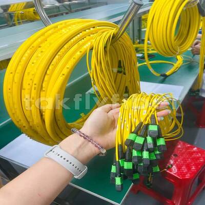 Takfly MPO/MTP Patch Cord 8/12/24 Jądra do 576 Jądr Niska strata 500 cykli parzenia Zgodne z IEC i TIA