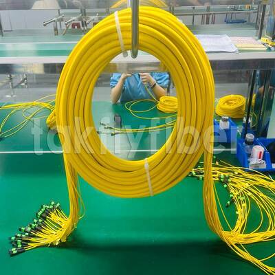 Takfly 288-włóknowy kabel krosowy MPO/MTP Ultra-Density