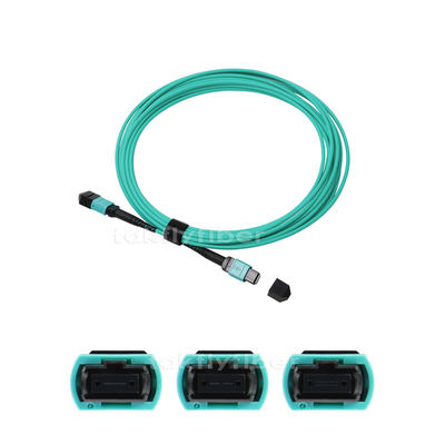 OM3 8/12/24 rdzenie Kabel światłowodowy MPO MTP, 3,0 mm, MM 50/125, Aqua