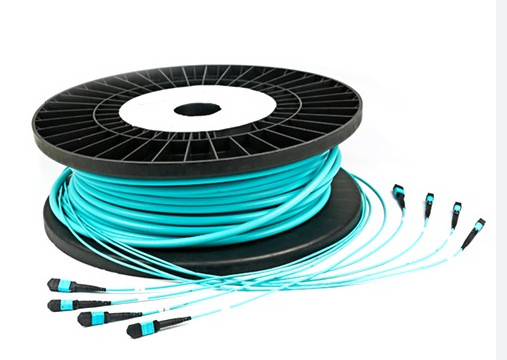 Multimodowy 36 rdzeniowy przewód optyczny Mpo / Mtp dla Gigabit Ethernet