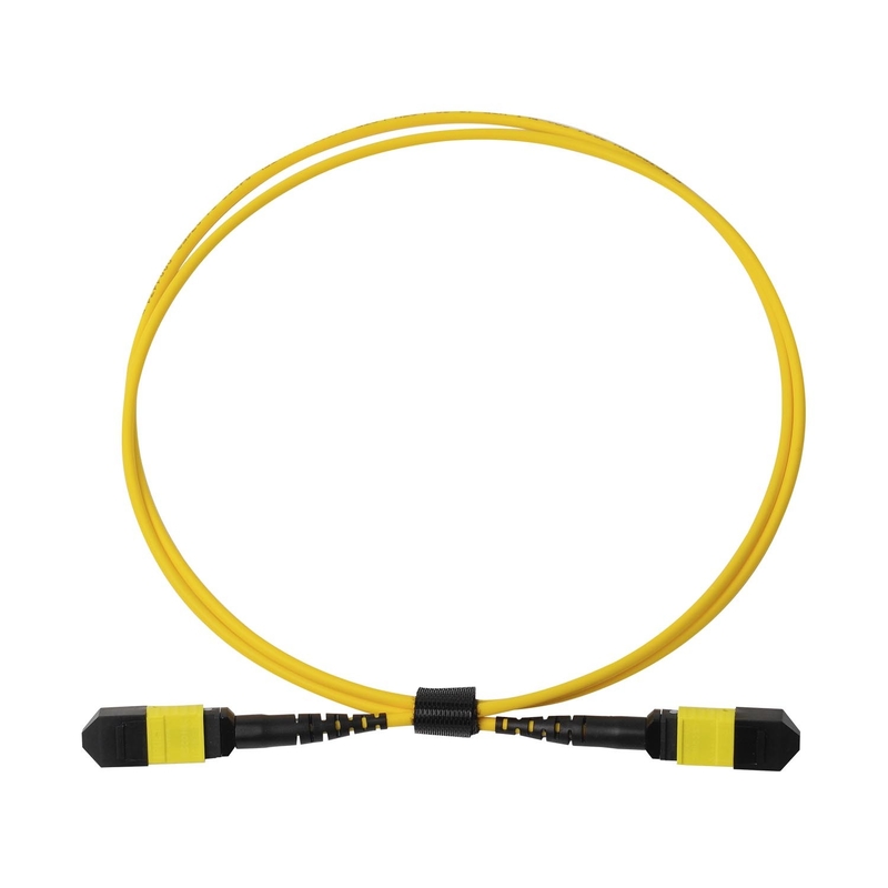 Plenum OFNP MPO Patch Cord 1m 3ft MTP-12 APC Kobieta do MTP-12 APC Kobieta Single Mode OS2