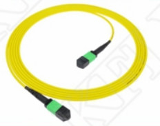 2m 7ft MTP Patch Cord Plenum OFNP MPO Patch Cord Cable 3.0mm MTP 12F APC Kobieta Elite