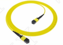 MTP-12 APC Kobieta do MTP-12 APC Kobieta SingleMode OS2 Plenum OFNP Typ A MPO Patch Cord 5m 16ft