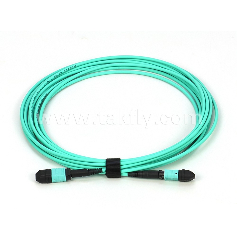 Elite Multimode OM3 50/125 Plenum OFNP Typ B MPO Patch Cord 30m 100ft MTP-12 PC Kobieta Do MTP-12 PC Kobieta