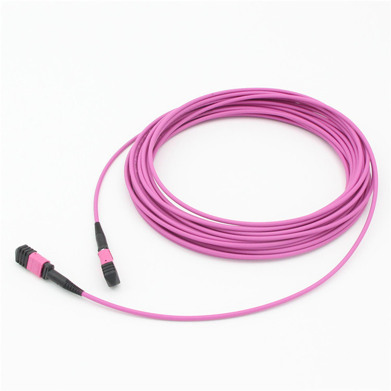 Elite Multimode OM4 50/125, Plenum OFNP Typ B MPO patch cord 1m 3ft MTP-12 PC Kobieta do MTP-12 PC Kobieta