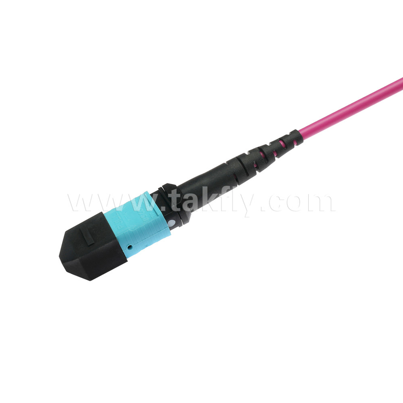 Elite Multimode OM4 50/125, Plenum OFNP Typ B MPO patch cord 3m 10ft MTP-12 PC Kobieta do MTP-12 PC Kobieta