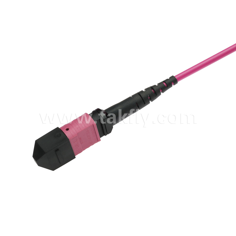 Elite Multimode OM4 50/125, Plenum OFNP Typ B MPO Patch Cord 5m 16ft MTP-12 PC Kobieta Do MTP-12 PC Kobieta