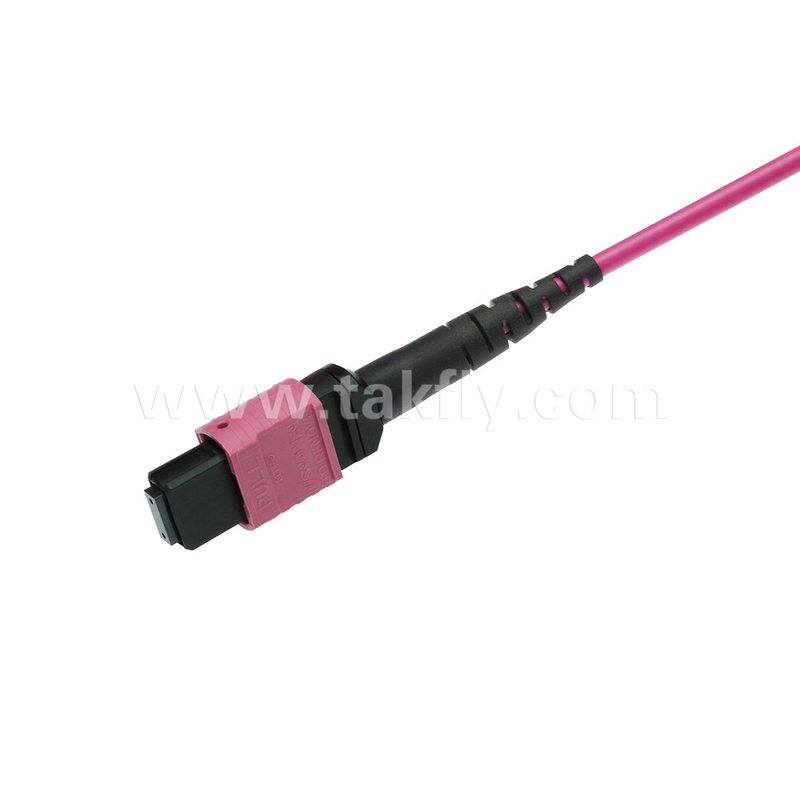 Elite Multimode OM4 50/125 Plenum OFNP Typ B MPO Patch Cord 3.0mm Kabel 10m 33ft MTP-12 PC Kobieta do MTP-12 PC Kobieta