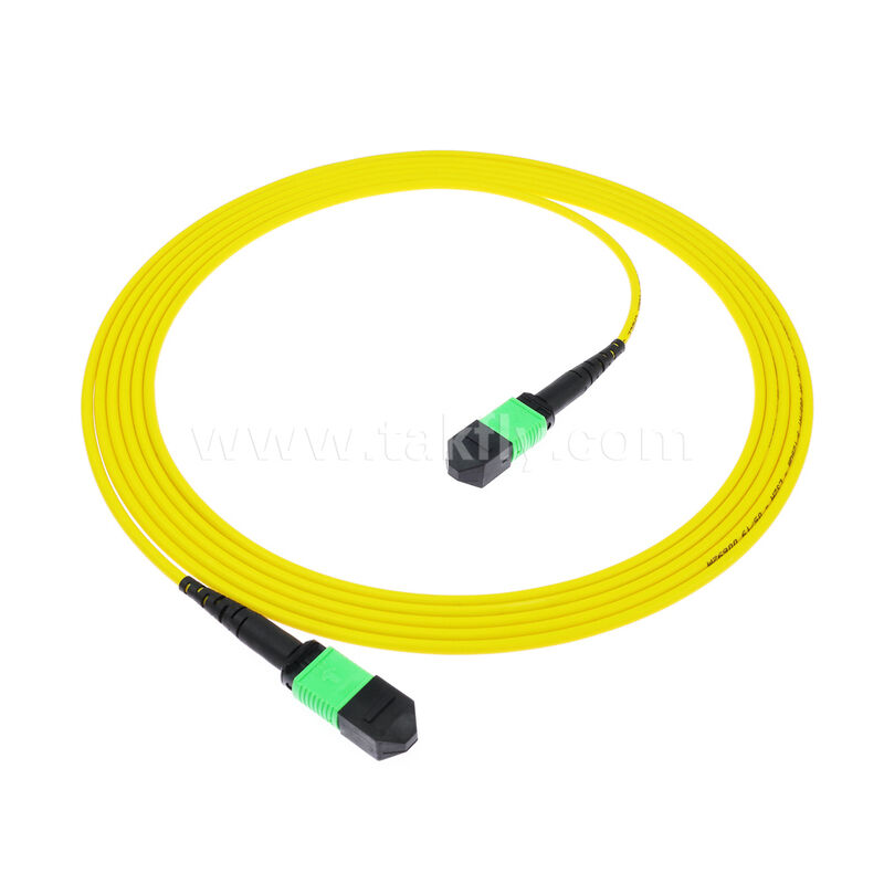 8F 12F 16F 24F MPO MTP Męski Żeński SM OS2 G652D G657A1 G657A2 Patchcord światłowodowy / Kabel krosowy światłowodowy / Kabel rozgałęźny światłowodowy / Kabel główny światłowodowy do centrum danych o dużej gęstości