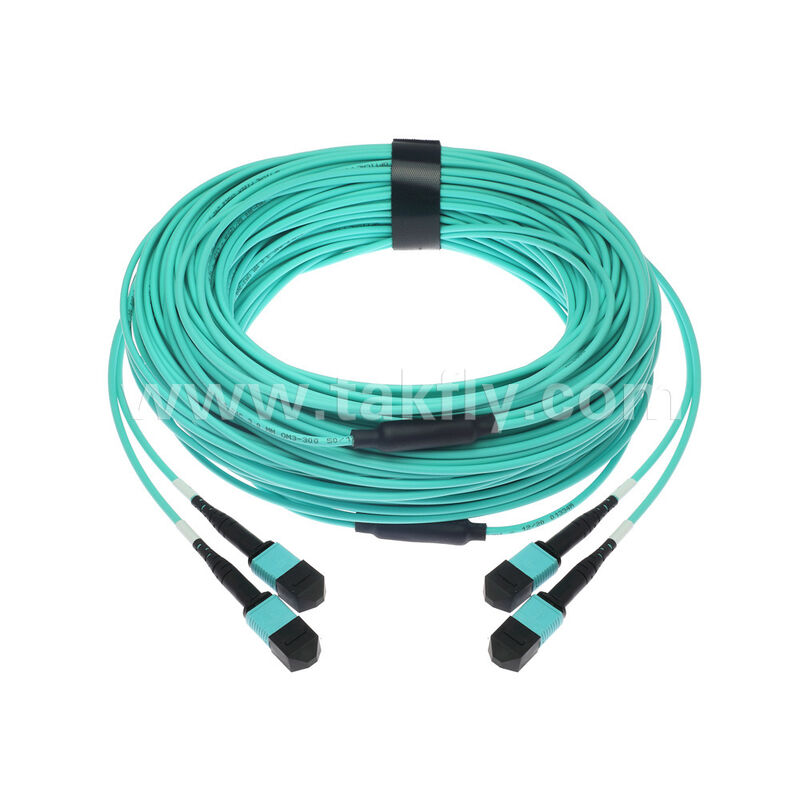 OM3 OM4 Wielomodowy 24 włókna 2x12F MPO MTP - 2x12F MPO MTP Męski Żeński Światłowodowy Patchcord / Światłowodowy Kabel Krosowy / Światłowodowy Kabel Rozgałęźny / Światłowodowy Kabel Trunkowy / Światłowodowy Kabel Fanout