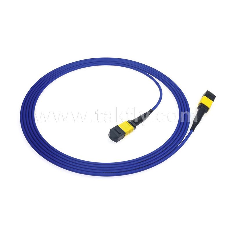 Opancerzony Opancerzony 8F 12F 16F 24F MPO MTP Męski Żeński Światłowodowy Kabel Rozgałęźny Światłowodowy Patchcord/Kabel Krosowy Światłowodowy/Kabel Trunk Światłowodowy/Kabel Rozgałęźny Światłowodowy