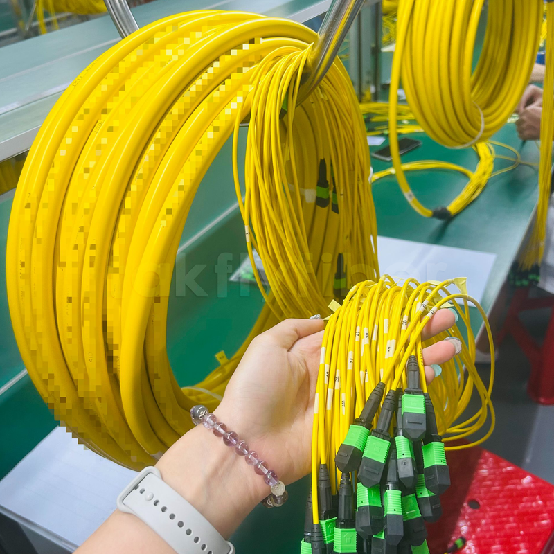 Takfly 288-włóknowy kabel krosowy MPO/MTP Ultra-Density