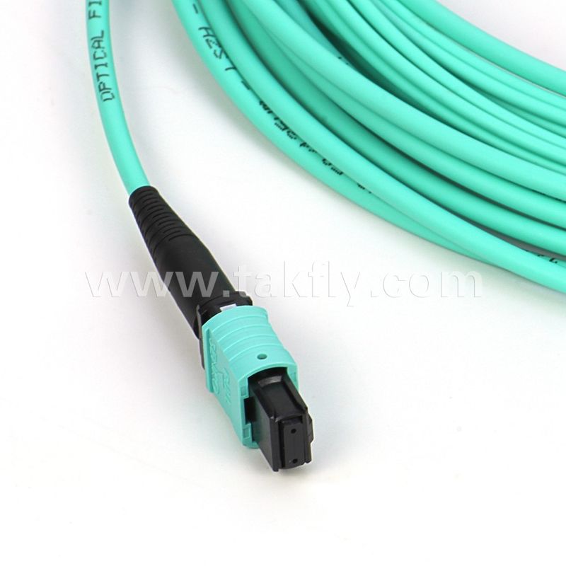 Kabel światłowodowy wielofunkcyjny 12/24 rdzeni Mpo Mtp Om3 do zastosowań w centrach danych